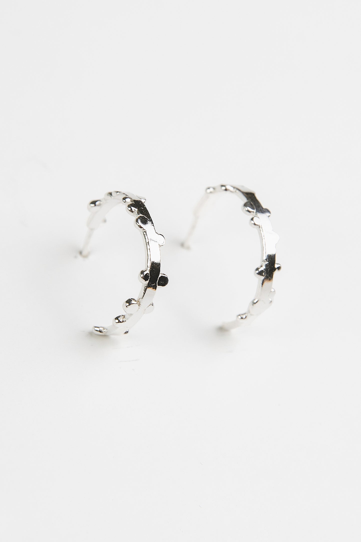 Seeds