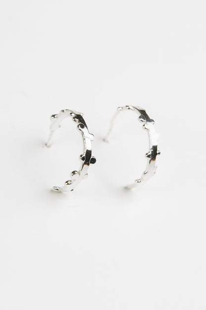 Seeds